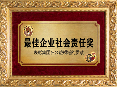 最佳企业社会责任奖牌匾 - 表彰集团在公益领域的贡献